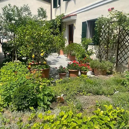 Lejlighed Town House La Perla Portorož